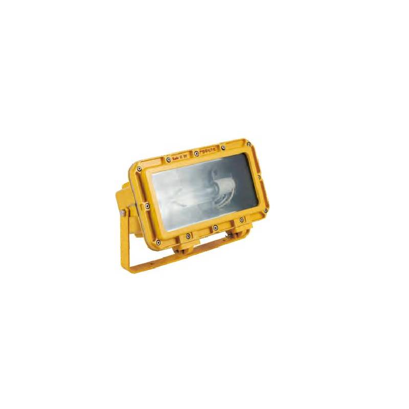 CFT2 Explosion-proof Flood Light