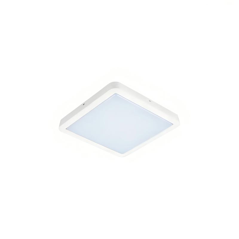 LED marine ceiling light