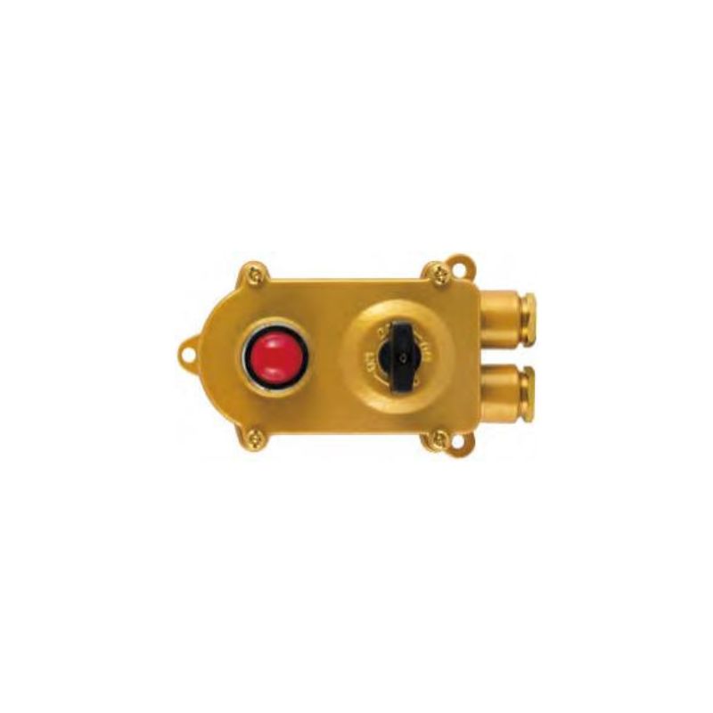 Marine brass switch with indicator light