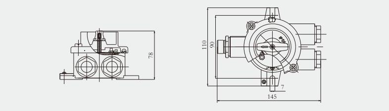 Marine brass switch with indicator light