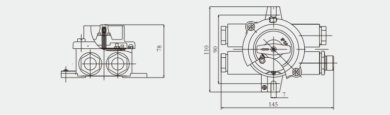 Marine brass switch with indicator light